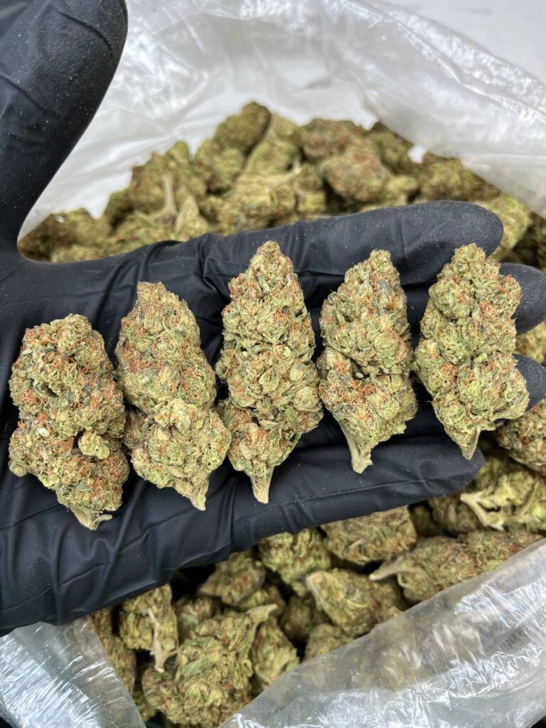Godfather OG