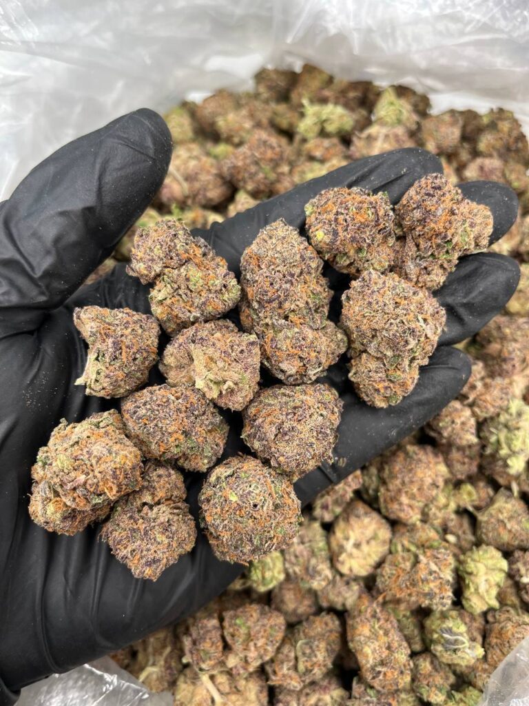 Purple haze