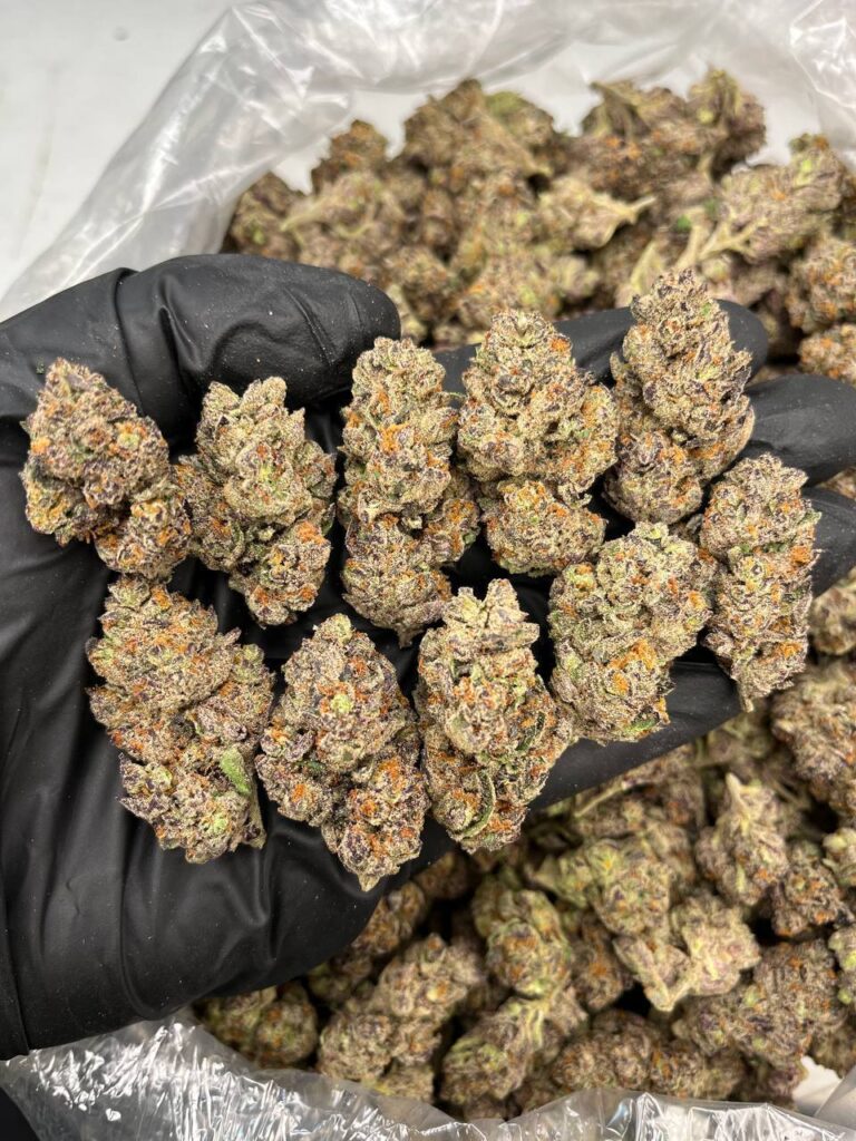 Neville’s Haze