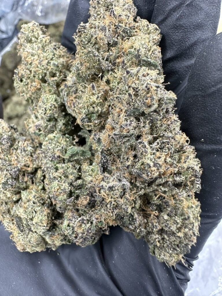 Dos-Si-Dos