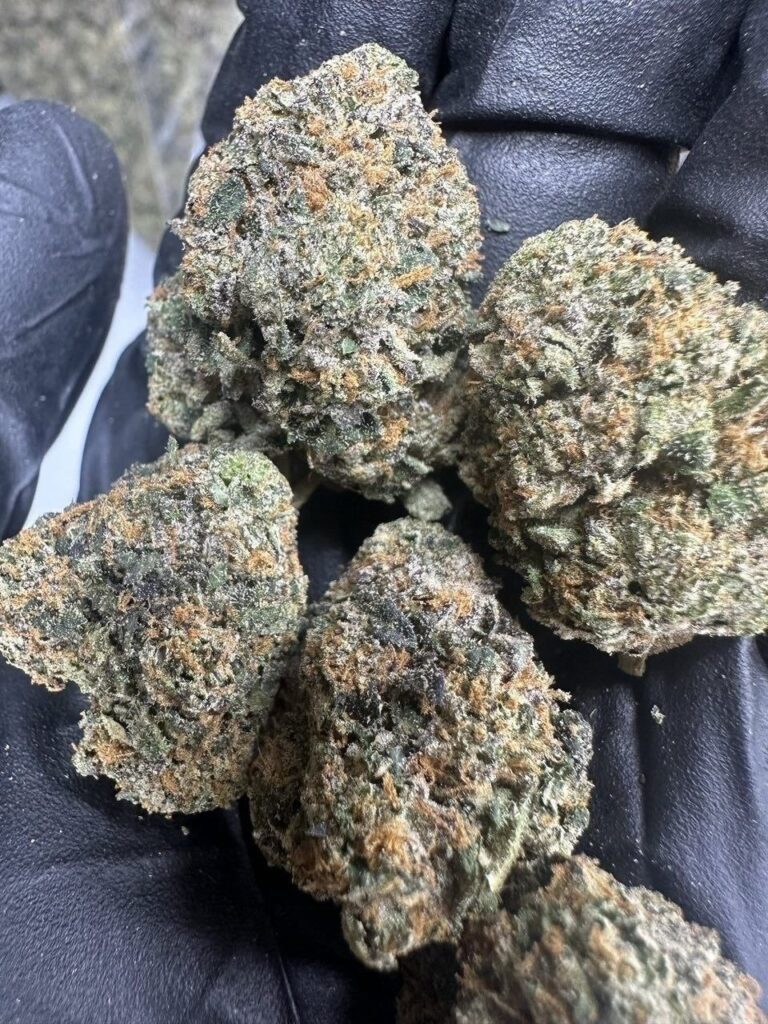 Mimosa Evo